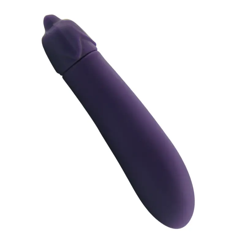 vibrator