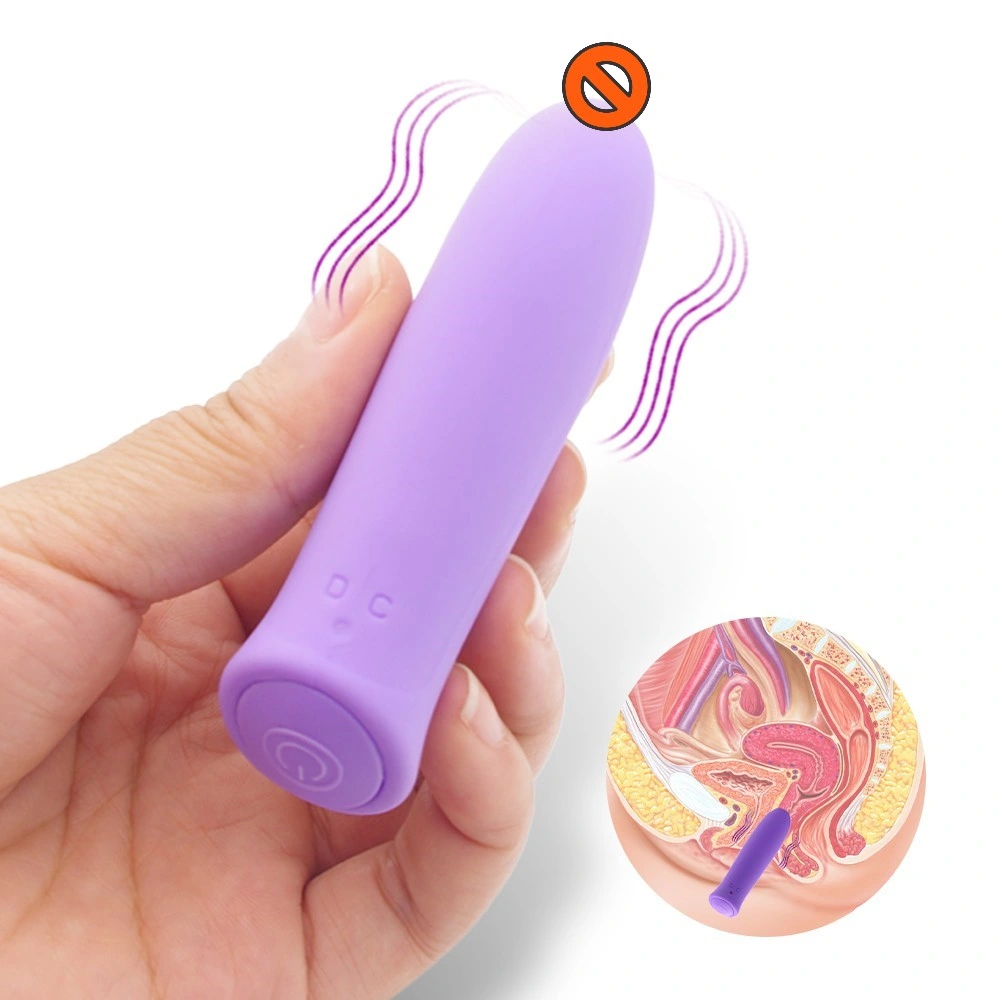 Mini Vibrator